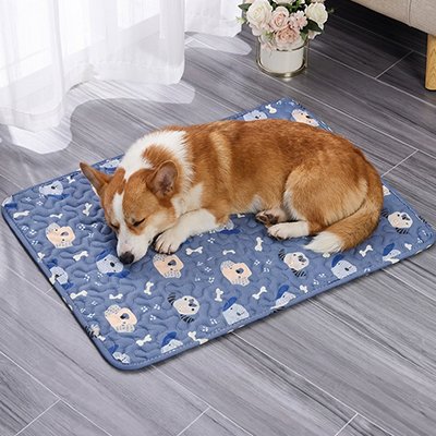 Tapis Chien rafraichissant bleu sur plancher bois gris avec chien dormant paisiblement