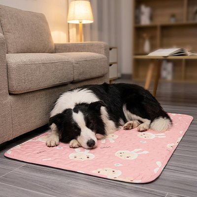 Tapis Chien rafraichissant rose devant canapé avec chien dormant paisiblement 