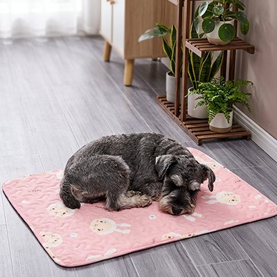 Tapis Chien rafraichissant rose sur plancher bois gris avec chien dormant paisiblement 