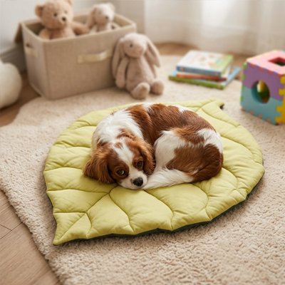 Tapis Chien vert deux teintes forme de feuille  sur moquette beige avec chien couché en boule regardant l'objectif 