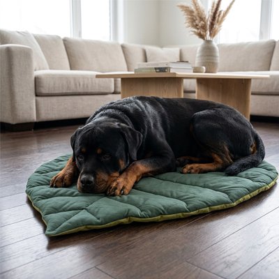 Tapis Chien vert deux teintes forme de feuille  sur plancher bois du salon avec Rottweiler se reposant