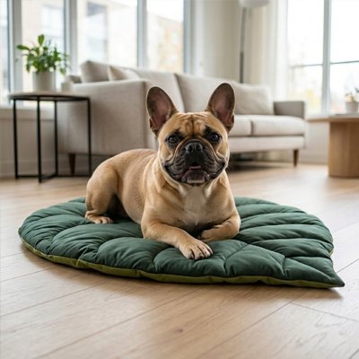 Tapis Chien vert deux teintes forme de feuille  sur plancher bois du salon avec chien pug beige couché regardant l'objectif souriant