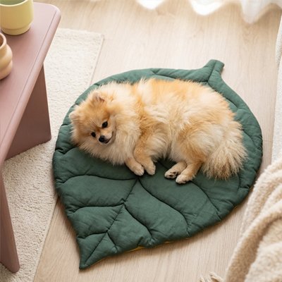 Tapis Chien vert deux teintes  forme de feuille sur plancher bois du salon avec Poméranien couché côté regardant l'objectif souriant 