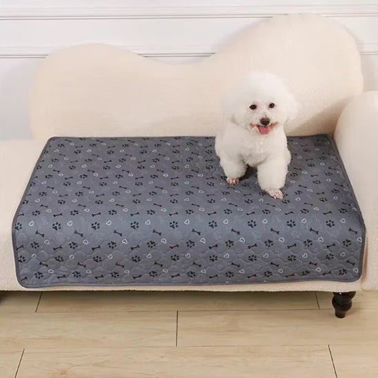 Tapis pour chien | Confort Antidérapant - Dogscie