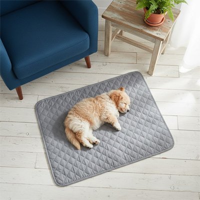 Tapis pour Chien | Confort Antidérapant Lavable - Dogscie