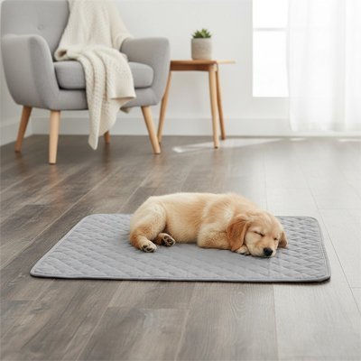 Tapis pour Chien | Confort Antidérapant Lavable - Dogscie