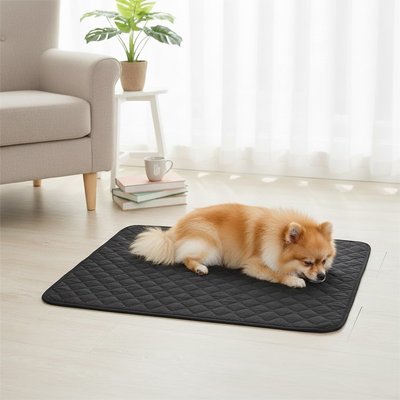 Tapis pour Chien | Confort Antidérapant Lavable - Dogscie