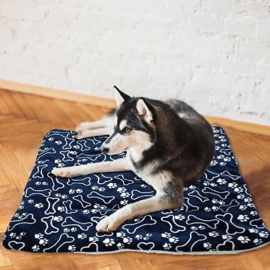Tapis pour chien | Confort Durable - Dogscie