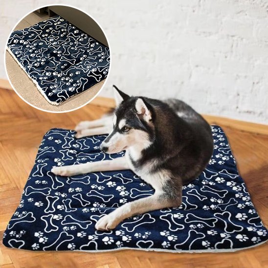 Tapis pour chien | Confort Durable - Dogscie