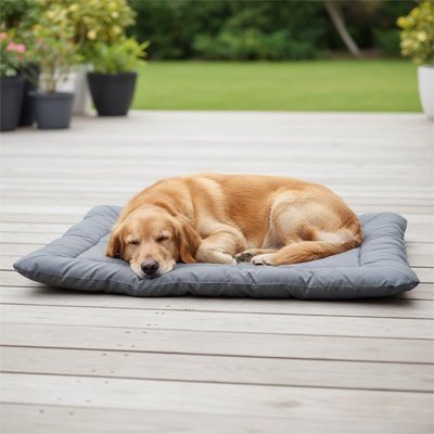 Tapis pour Chien | Lavable Confort - Dogscie