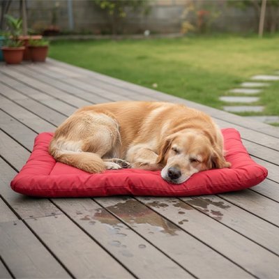 Tapis pour Chien | Lavable Confort - Dogscie