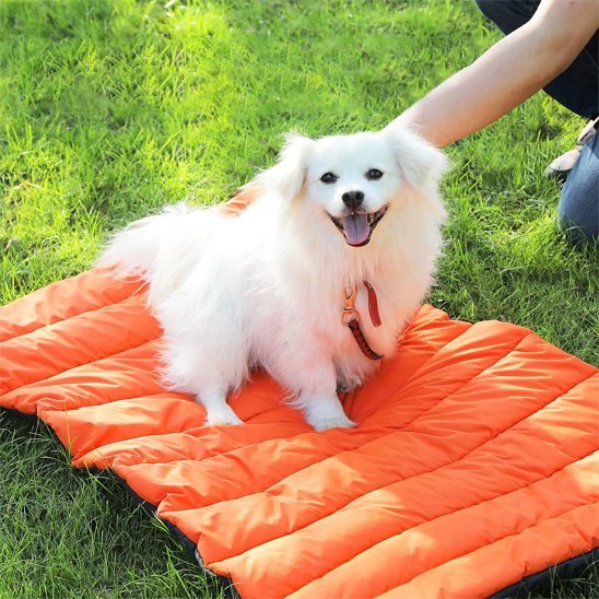 Tapis pour chien | Ultra - Confortable Lavable - Dogscie