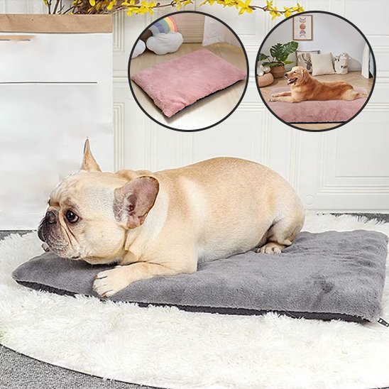 Tapis pour chien | Ultra - Confortable Lavable - Dogscie