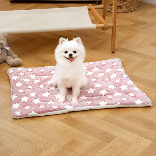 Tapis pour chien | Ultra - Confortable Lavable - Dogscie