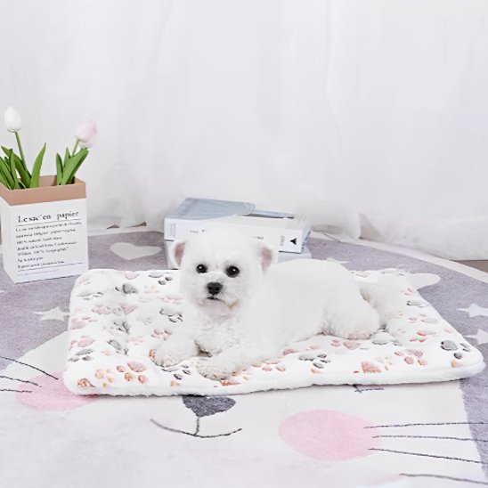 Tapis pour chien | Ultra - Confortable Lavable - Dogscie