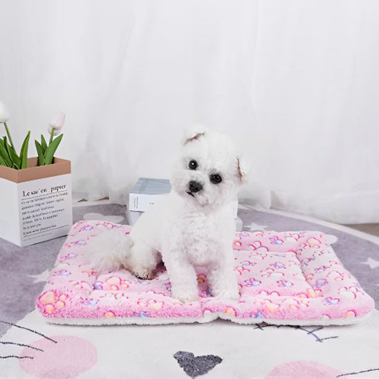 Tapis pour chien | Ultra - Confortable Lavable - Dogscie