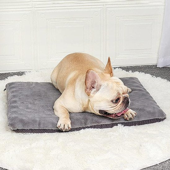 Tapis pour chien | Ultra - Confortable Lavable - Dogscie
