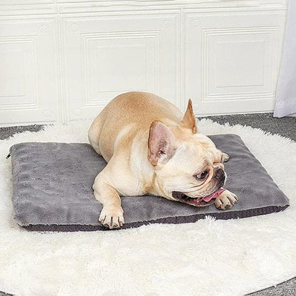 Tapis pour chien | Ultra - Confortable Lavable - Dogscie