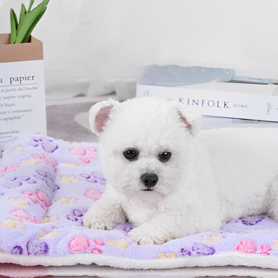 Tapis pour chien | Ultra - Confortable Lavable - Dogscie