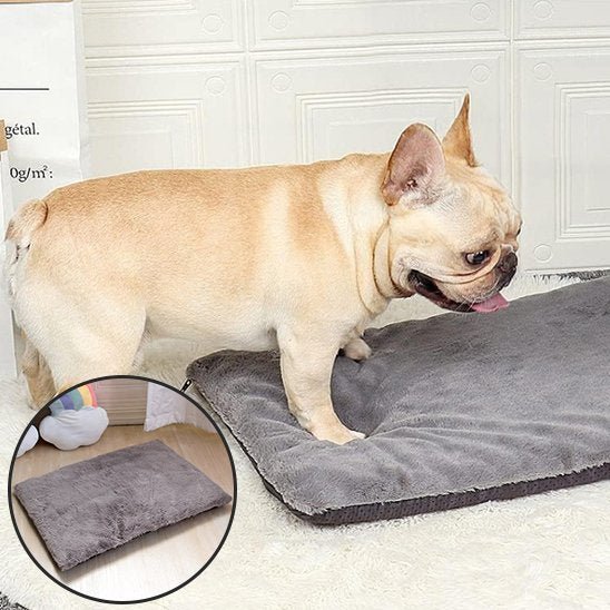 Tapis pour chien | Ultra - Confortable Lavable - Dogscie