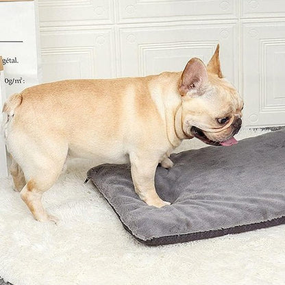 Tapis pour chien | Ultra - Confortable Lavable - Dogscie