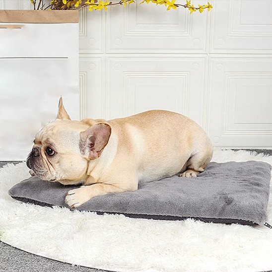 Tapis pour chien | Ultra - Confortable Lavable - Dogscie