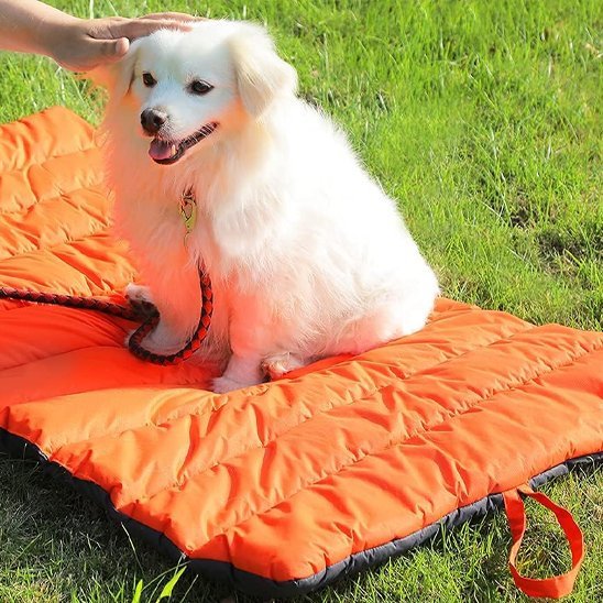 Tapis pour chien | Ultra - Confortable Lavable - Dogscie