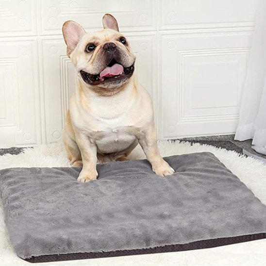 Tapis pour chien | Ultra - Confortable Lavable - Dogscie