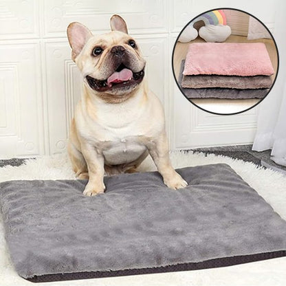 Tapis pour chien | Ultra - Confortable Lavable - Dogscie