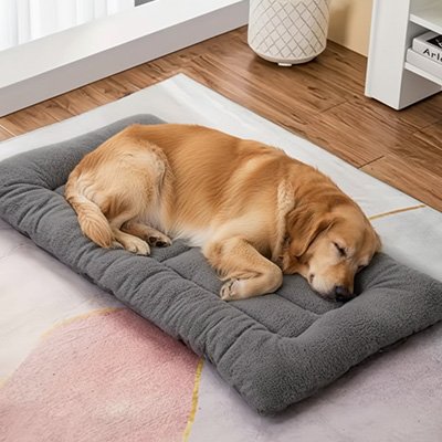 Tapis pour chien