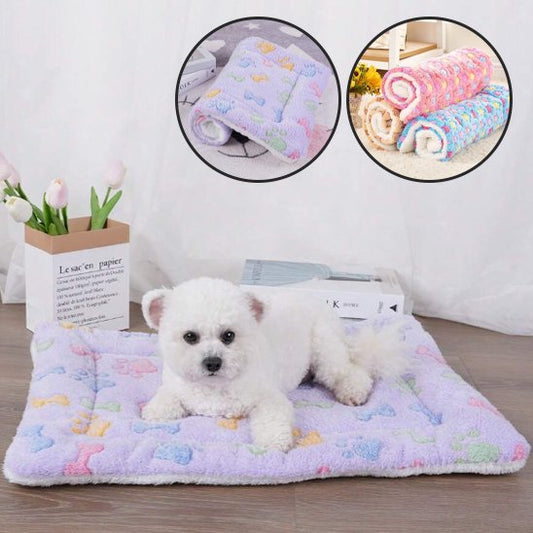 Tapis pour chien