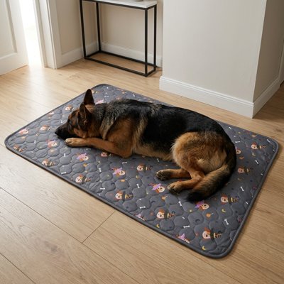 Tapis pour Chien