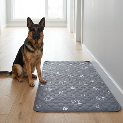 Tapis pour Chien