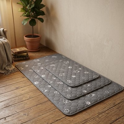 Tapis pour Chien