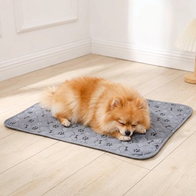 Tapis pour Chien