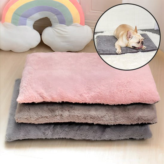 Tapis pour chien