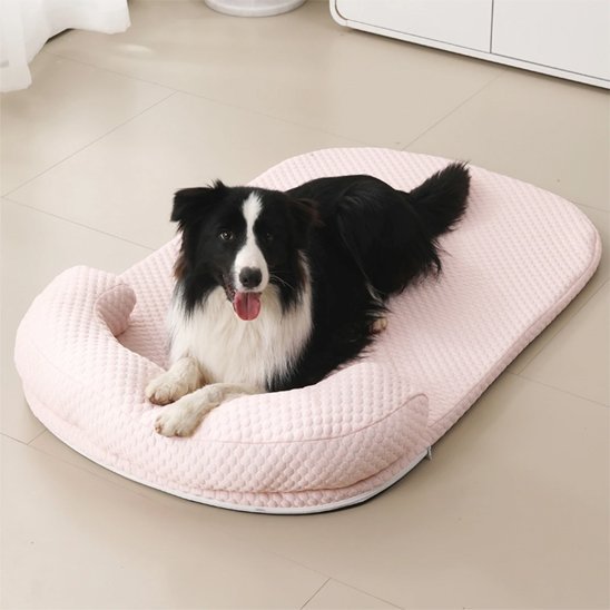 Tapis rafraichissant chien - Dogscie