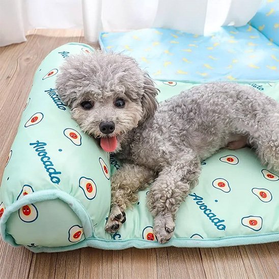 Tapis rafraichissant chien - Dogscie