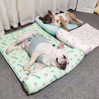 Tapis rafraichissant chien - Dogscie