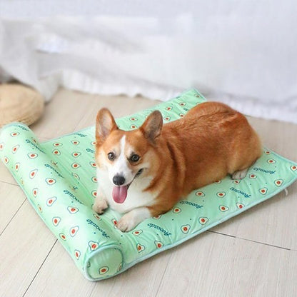 Tapis rafraichissant chien - Dogscie