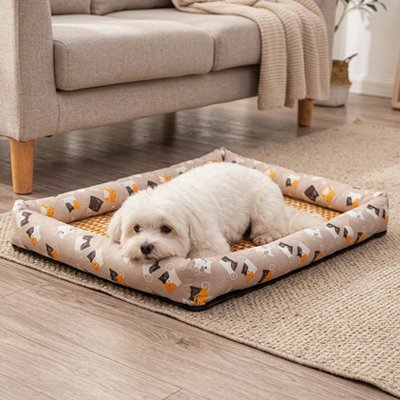 Tapis rafraichissant Chien beige avec caniche couché la tête sur le rebord devant canapé