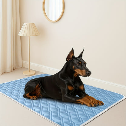 Tapis rafraichissant Chien bleu sur le sol avec doberman couché