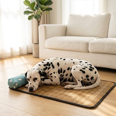 Tapis rafraichissant Chien | Confort Été - Dogscie