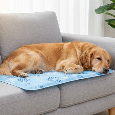 Tapis rafraîchissant Chien bleu pâle/flaucons sur le canapé avec golden retriever se reposant paisiblement 