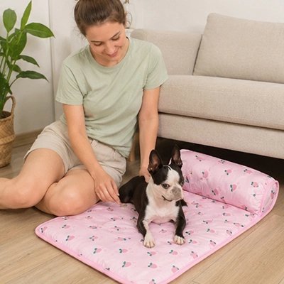 Tapis rafraîchissant Chien | Confort Optimal - Dogscie