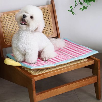 Tapis rafraîchissant Chien | Confort Optimal - Dogscie