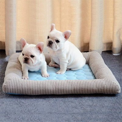 Tapis rafraichissant Chien | Confort Optimal - Dogscie