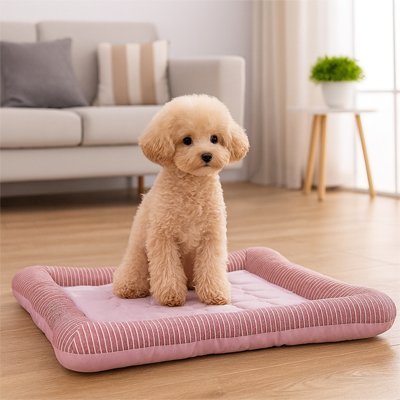 Tapis rafraichissant Chien | Confort Optimal - Dogscie