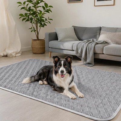 Tapis rafraichissant Chien gris sur le sol du salon avec chien souriant