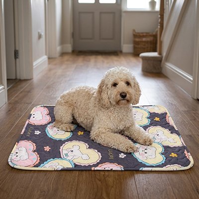Tapis rafraichissant Chien gris/multicolore  sur plancher couloire avec caniche beige couché heureux